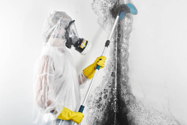 Best Post-Construction Mold Inspection  in Church Hill, MD