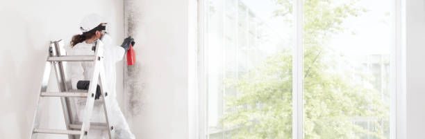 Best Mold Remediation for Healthcare Facilities  in Church Hill, MD