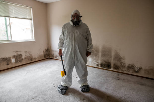 Best Commercial Mold Inspection  in Church Hill, MD